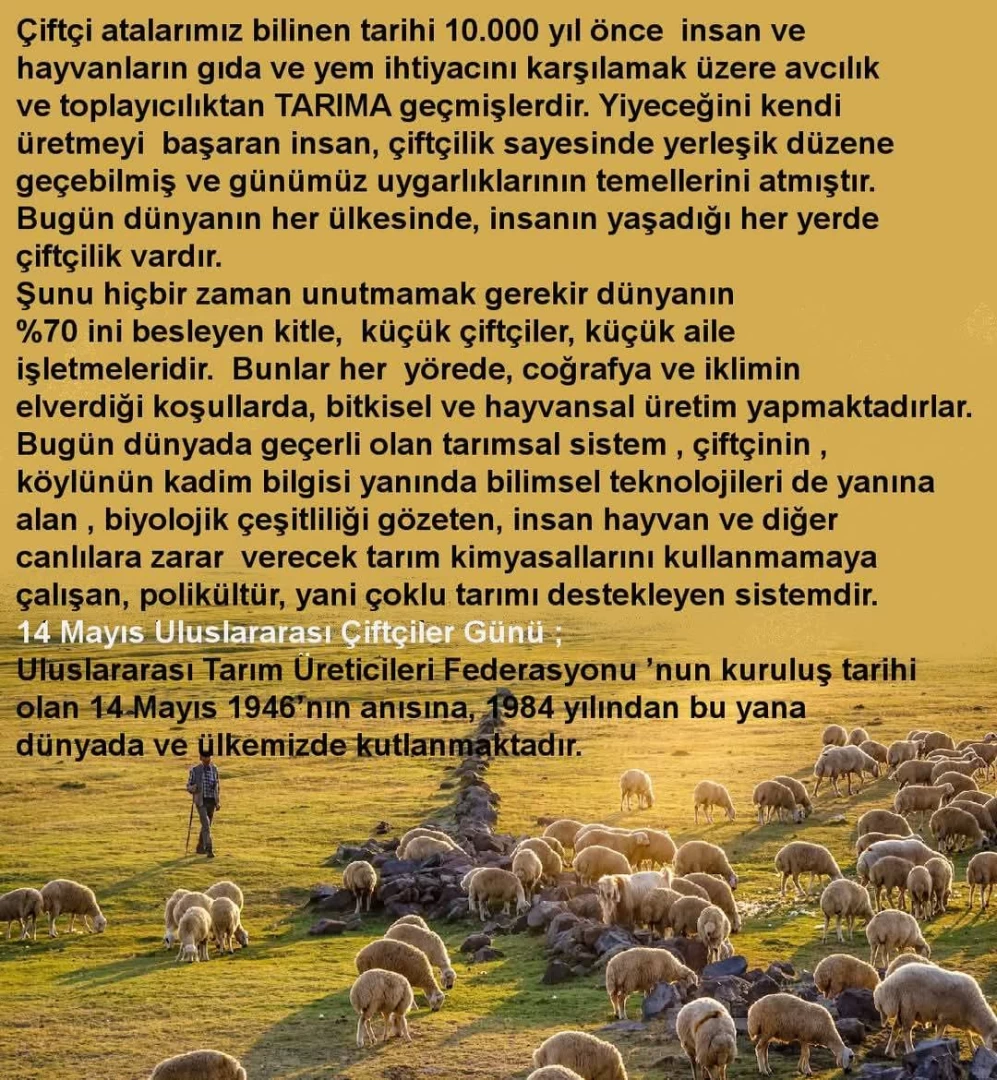 Haber Fotoğrafı